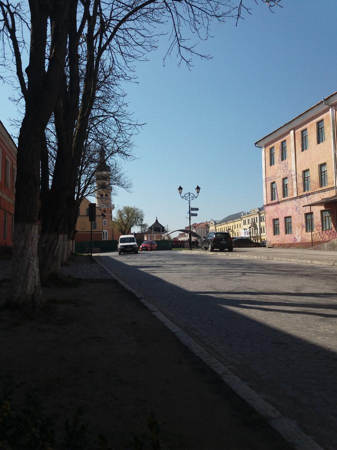 Уютные Апартаменты В Самом Сердце Старого Города Kamjanets-Podilsky Buitenkant foto